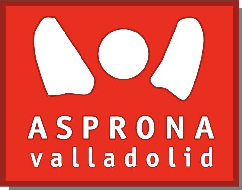 Debate sobre la Responsabilidad Social de las Empresas