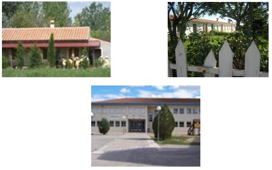 Campamentos de inclusión en verano